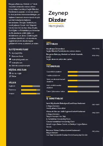 cv indir